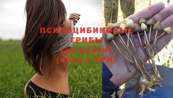 винт Абинск
