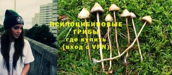 apvp Алексин
