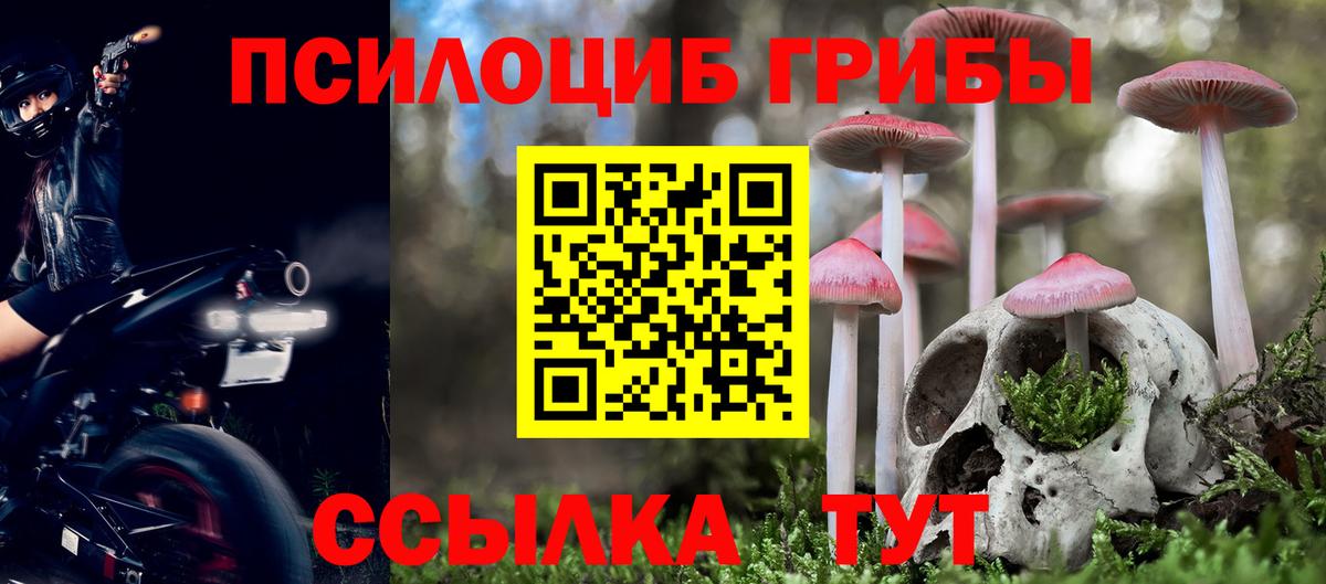 Псилоцибиновые грибы GOLDEN TEACHER  Вход с VPN  Псилоцибиновые грибы MAGIC MUSHROOMS  Ишимбай 