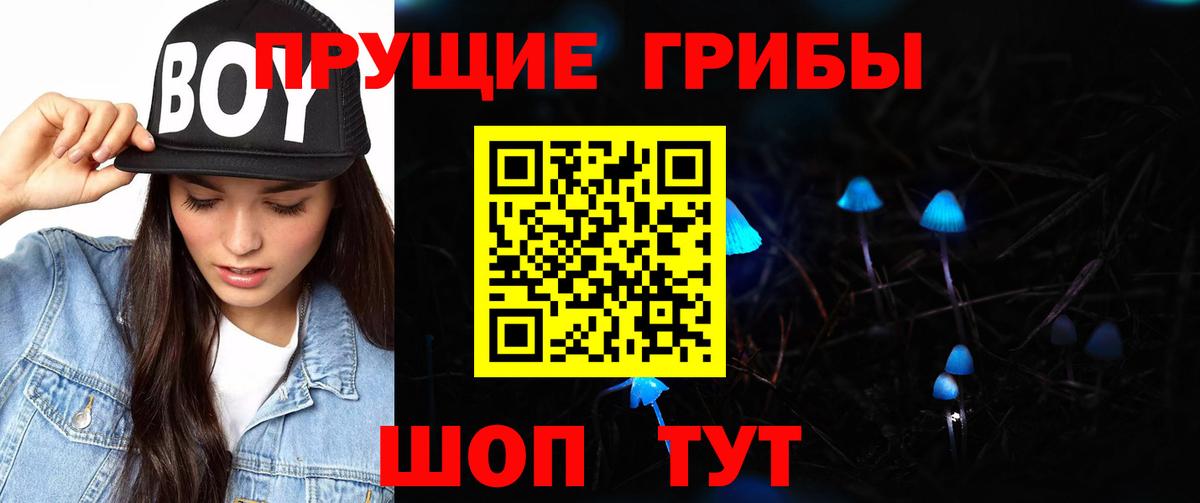 Псилоцибиновые грибы Cubensis Ишимбай